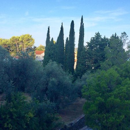 Appartamento Harmony Sveti Stefan Esterno foto